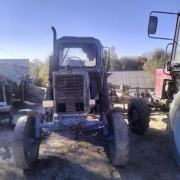 belarus mtz 80: Тракторы МТЗ «Беларус» — два экземпляра - Модельный ряд: МТЗ/Беларус — 2