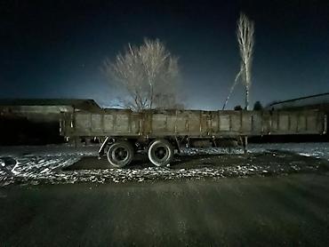 Прицепы и полуприцепы: Прицеп, Самосвал — 6