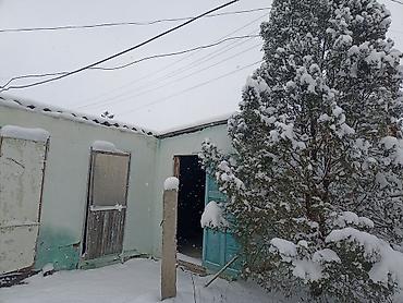 лесхоз: 4 соток, Для строительства, Тех паспорт — 1