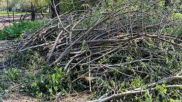 Дрова: Дрова Тополь, Самовывоз — 6