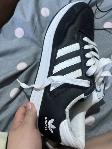 адидас кроссовки оригинал: Кроссовки, 45, Adidas, Новый, цвет - Черный, Самовывоз, Платная доставка