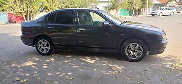 skyline r32: Nissan Primera: 2001 г., 1.8 л, Механика, Бензин, Седан — 3
