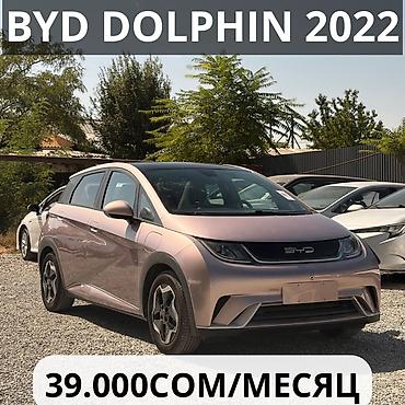 в рассрочка: BYD Dolphin: 2022 г., 0.1 л, Автомат, Электромобиль, Хэтчбэк — 2