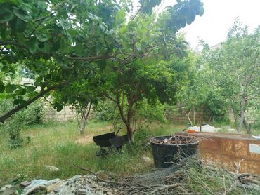 Həyət evləri və villaların satışı: 4 otaqlı, 100 kv. m, Kredit yoxdur, Orta təmir -da lalafo.az — 18 Həyət evləri və villaların satışı: 4 otaqlı, 100 kv. m, Kredit yoxdur, Orta təmir — 18