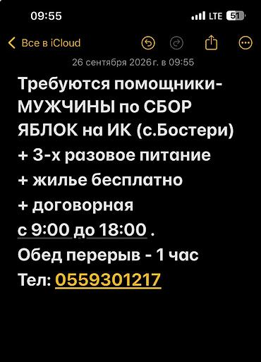 профессиональные переводчики: Вакансия: помощники по сбору яблок (с. Бостери, ИК) Описание работ: - — 1