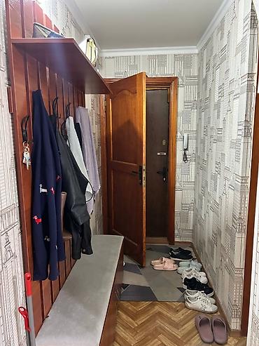 Батирлерди ижарага берүү: 1 бөлмө, Аламедин базары Кыймылсыз мүлк агенттиги, Жаныбарлар менен болот, 1 айдан баштап, 3 айдан баштап, 6 айдан баштап, Толугу менен эмереги бар — 5