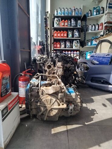 Sbor motorlar və silindr başlıqları: İstənilən növ Ford avtomobili üçün ehtiyat hissələrini Continental