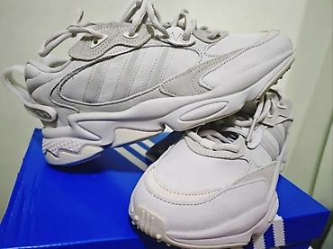 on cloud: Мужские кроссовки, 41, Adidas, Новый, цвет - Серый, Самовывоз — 1