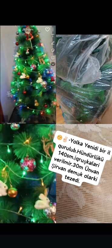 maşın şəkilləri: - Yeni il yolkası - Hündürlüyü: 140 sm - İşıq qırışıqları (led
