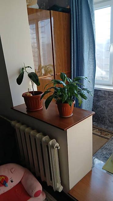 Продажа квартир: 2 комнаты, 52 м², Индивидуалка, 7 этаж, Евроремонт — 19