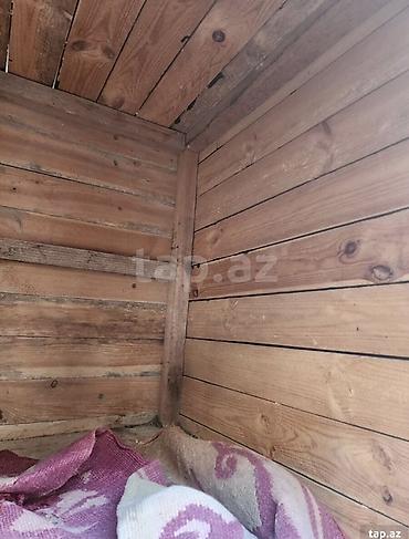 izvanok itler: İt yuvası – orta və kiçik ölçülü itlər üçün - Material: qalın taxta — 5