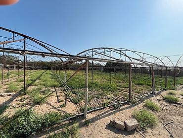 karkas: Satış: Sökülməyə hazır metal istixana karkasları Təsvir: - Böyük — 2