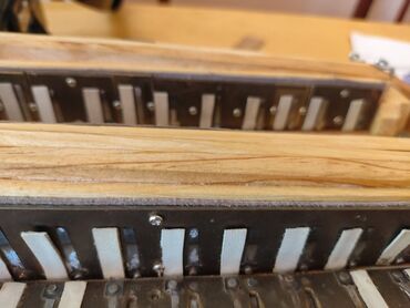 Akkordeonlar: Akustik Akkordeon, Yeni, Ödənişli çatdırılma — 15