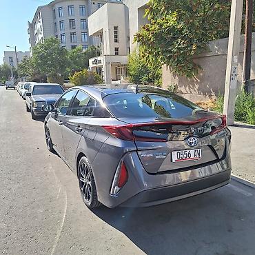 Toyota: Toyota Prius: 2020 г., 1.8 л, Вариатор, Гибрид, Хэтчбэк — 12