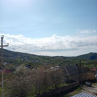 Torpaq sahələrinin satışı: Kənd təsərrüfatı — 8