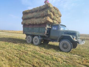 ЗИЛ: ЗИЛ : | 1987 г — 10