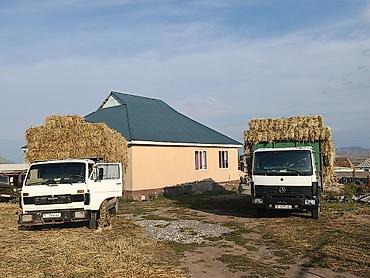 зоомагазин бишкек с животными: 814 сатылат. абалы жакшы тент бар. баардык нерселкрге разрешение бар — 2