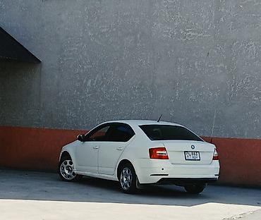 октавиа а7: Skoda Octavia: 2016 г., 1.6 л, Автомат, Бензин, Лифтбек — 5