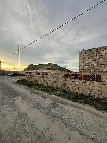 bine sovxoz: 4 sot, Tikinti, Mülkiyyətçi, Bələdiyyə — 6