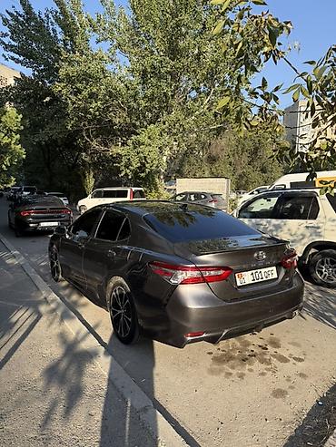 Toyota: Toyota Camry: 2020 г., 2.5 л, Автомат, Седан — 2