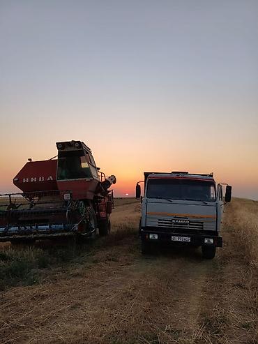 Грузовики: Самосвал КАМАЗ 55111 (6x4) - Полная масса до 20 т, грузоподъёмность — 5