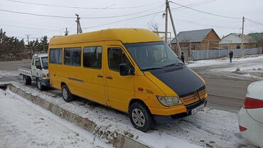 Mercedes-Benz: Mercedes-Benz Sprinter: 2002 г., 2.9 л, Механика, Дизель, Бус