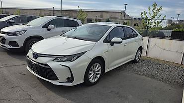 sonata for sale: Toyota Corolla: 2019 г., 1.8 л, Автомат, Гибрид, Седан — 3