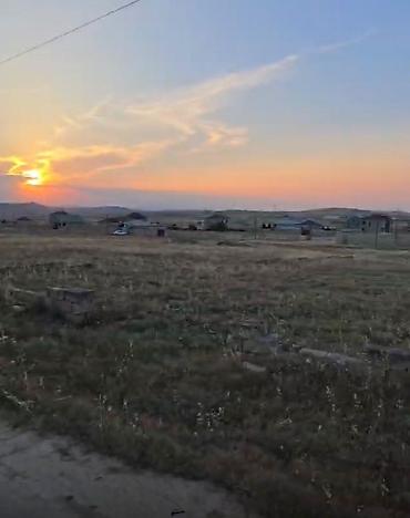 qobuda torpag: 5 sot, Tikinti, Maklerlər narahat etməsin, Kupça (Çıxarış) — 1