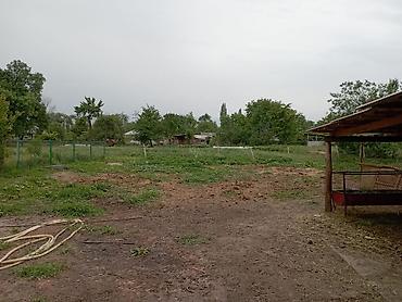 Распашные ворота: Продается большой дом с ПОДВАЛОМ! Панфиловский район, с.Чалдовар ул — 27