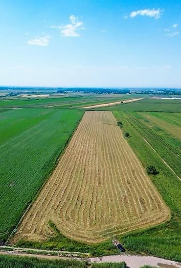 участка алам: 3000 соток, Для сельского хозяйства, Тех паспорт — 1