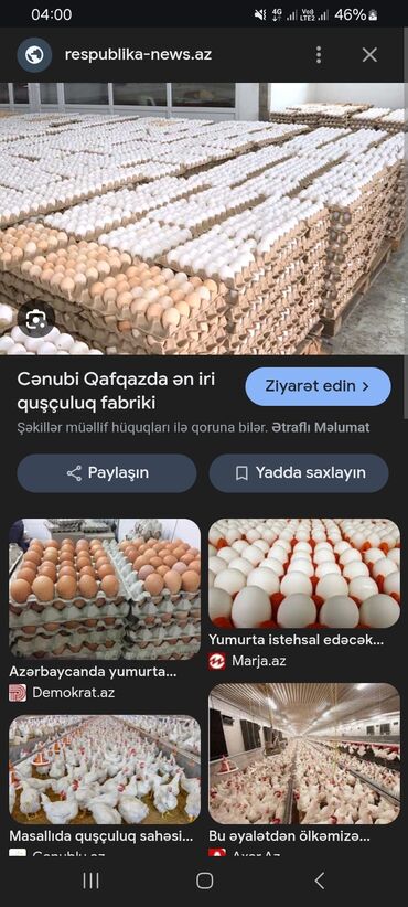 lazer is elanlari: Quşçuluq fabrikinə qadın əməkdaşlar tələb olunur yazın məlumat