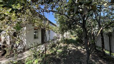 Продажа домов: Дом, 70 м², 4 комнаты, Собственник, Евроремонт — 8