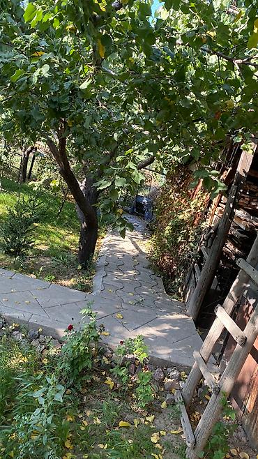 Продажа коттеджей и домов: Продаю дом. По адресу: Село Новопавловка улица Северная 165 Есть — 8