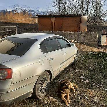маш: Volkswagen Passat: 2005 г., 2 л, Механика, Бензин, Седан — 3