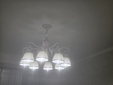 Посуда: Посуда