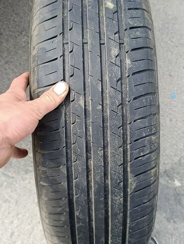 докатка киа: Шиналар 185 / 70 / R 14, Жай, Колдонулган, Жуп, Жеңил унаалар