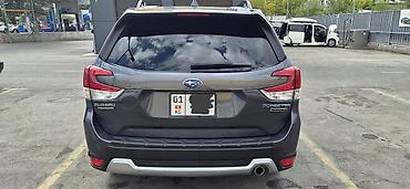 forest: Subaru Forester: 2020 г., 2.5 л, Вариатор, Бензин, Кроссовер — 2