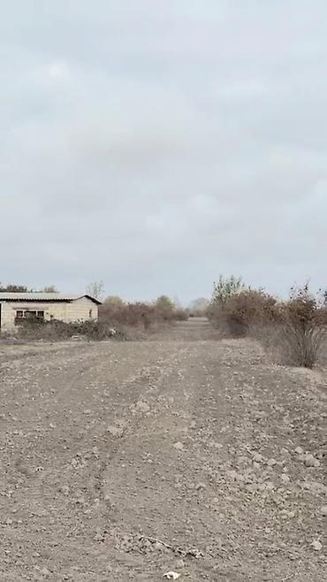 Torpaq sahələrinin satışı: Kənd təsərrüfatı -da lalafo.az — 8 Torpaq sahələrinin satışı: Kənd təsərrüfatı — 8
