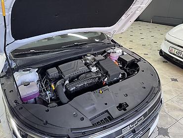 BYD: BYD Destroyer 05: 2025 г., 1.5 л, Автомат, Электромобиль, Седан — 5