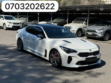 подлокотник для авто: Kia : 2017 г., 3.3 л, Автомат, Бензин, Седан