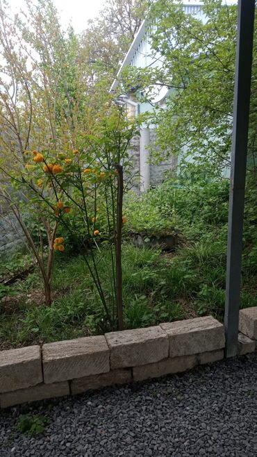 Günlük kirayə evlər: 150 kv. m, 4 otaqlı, Kombi, Qaz, İşıq — 13