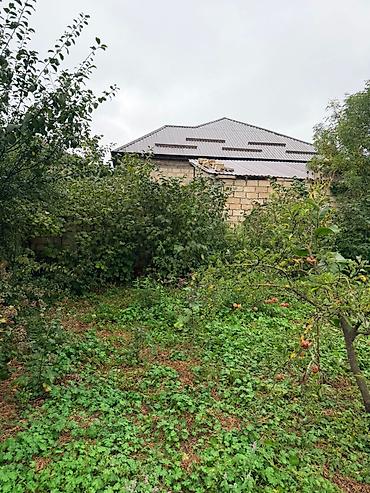 bülbülə torpaq: 11 sot, Biznes üçün, Mülkiyyətçi, Kupça (Çıxarış) — 6