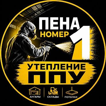 электро мир: Утепление напыляемым ППУ (пенополиуретаном) Профессиональное — 1
