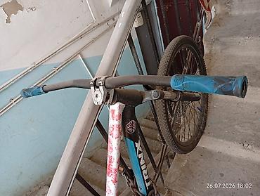 bmx gtr 334: Orginal və keyfiyyətli möhkəm Trinx markasına aid (24 ölçüdə) — 9