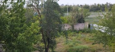 Torpaq sahələrinin satışı: 30 sot, Kənd təsərrüfatı, Mülkiyyətçi, Kupça (Çıxarış) — 10