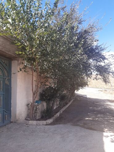 Həyət evləri və villaların satışı: 3 otaqlı, 100 kv. m, Kredit yoxdur, Orta təmir -da lalafo.az — 22 Həyət evləri və villaların satışı: 3 otaqlı, 100 kv. m, Kredit yoxdur, Orta təmir — 22