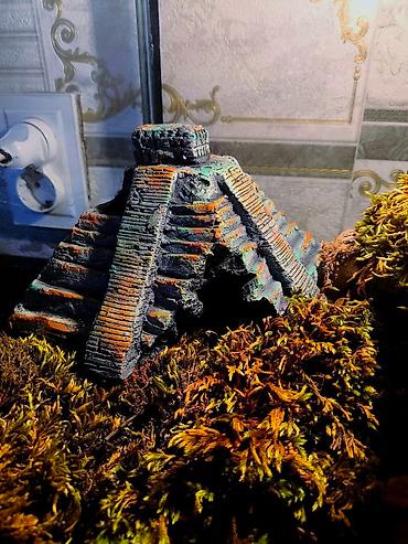 Зоотовары: 🌿 Украшения и декорации для аквариумов и террариумов 🌿 Продаю — 18