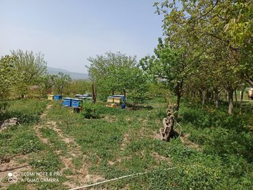 Həyət evləri və villaların satışı: 4 otaqlı, 50 kv. m, Kredit yoxdur, Yeni təmirli -da lalafo.az — 10 Həyət evləri və villaların satışı: 4 otaqlı, 50 kv. m, Kredit yoxdur, Yeni təmirli — 10