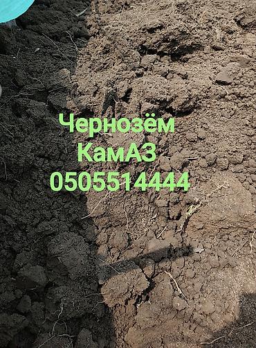 навозные черви: В тоннах, Бесплатная доставка, Зил, Камаз — 1