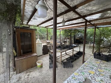 Digər kommersiya daşınmaz əmlakı: 7-ci mikrorayonda,Azadlıq metrosunun yanı,Faxralı xəngəl evinin -da lalafo.az — 7 Digər kommersiya daşınmaz əmlakı: 7-ci mikrorayonda,Azadlıq metrosunun yanı,Faxralı xəngəl evinin — 7